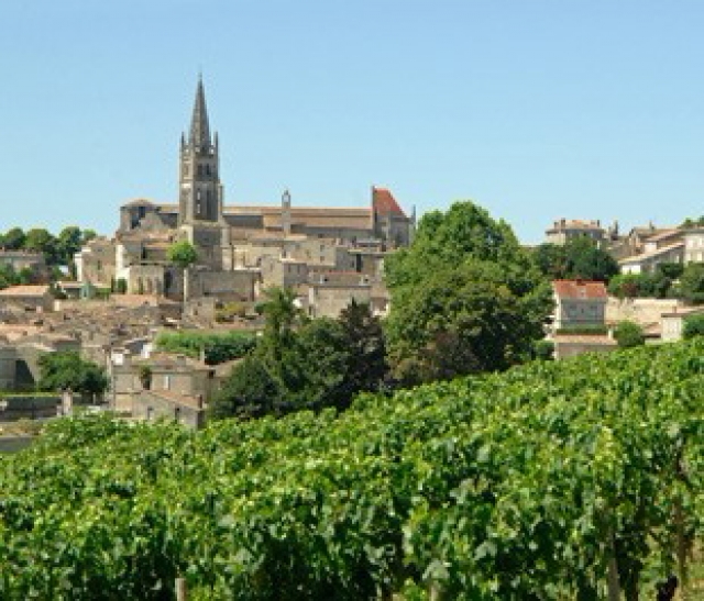 Гостевой дом Chateau Troplong Mondot. Каникулы на винвиноградниках Saint-Emilion.