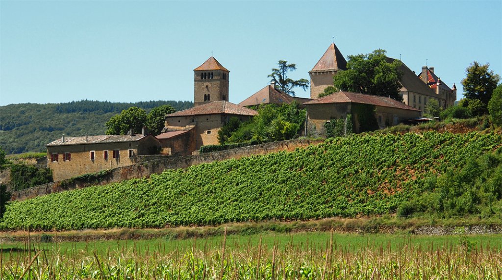 bourgogne бургундия франция бордо гид вино тур экскурсия